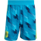 adidas RFEF Spanien Authentic Heim Torwartshorts 2026 Herren KC3083 - bold aqua/team semi sol yellow M