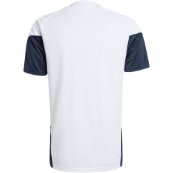 adidas AFA Argentinien Tiro Trainingstrikot 2026 Herren JY7029 - white S