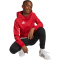 adidas Entrada 26 Hoodie Kinder JZ6568 - team power red 2/white 116