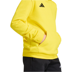 adidas Entrada 26 Hoodie Kinder JZ6564 - team...