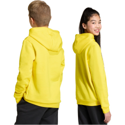 adidas Entrada 26 Hoodie Kinder JZ6564 - team...