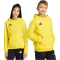 adidas Entrada 26 Hoodie Kinder JZ6564 - team yellow/black 116