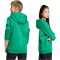 adidas Entrada 26 Hoodie Kinder JZ6563 - team green/white 104
