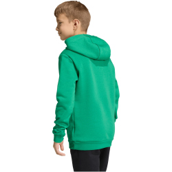 adidas Entrada 26 Hoodie Kinder JZ6563 - team green/white 116