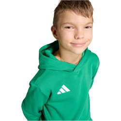adidas Entrada 26 Hoodie Kinder JZ6563 - team green/white 116
