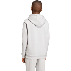 adidas Entrada 26 Hoodie Kinder JZ6562 - team light grey/white 104