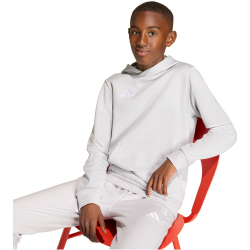 adidas Entrada 26 Hoodie Kinder JZ6562 - team light grey/white 104