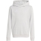 adidas Entrada 26 Hoodie Kinder JZ6562 - team light grey/white 104