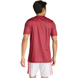 adidas FC Arsenal Aufwärmshirt 2025/26 Herren JZ6906...