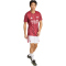adidas FC Arsenal Aufwärmshirt 2025/26 Herren JZ6906 - team coll burgundy 2/pure ruby S