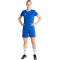 adidas Entrada 26 Trainingsshorts Damen JZ6522 - team royal blue/white XS