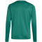 adidas Entrada 26 langarm Trikot Kinder KF5873 - team dark green/white 104