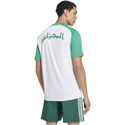 adidas FAF Algerien Heim Aufwärmshirt 2026 Herren...