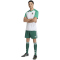 adidas FAF Algerien Heim Aufwärmshirt 2026 Herren JZ0273 - white S