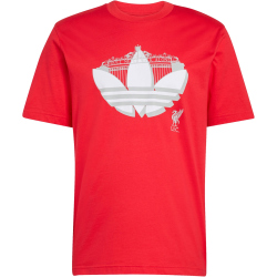 adidas FC Liverpool Seasonal Graphic T-Shirt 2025/26 Herren JZ2542 - pure ruby S