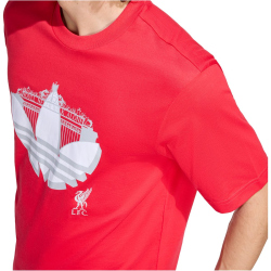 adidas FC Liverpool Seasonal Graphic T-Shirt 2025/26 Herren JZ2542 - pure ruby S