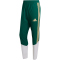 adidas FIGC Italien Tiro Präsentationshose 2026 Herren JZ9379 - collegiate green XS