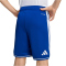 adidas EPO Griechenland Heimshorts 2026 Jungen KF3553 - collegiate royal 128