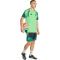 adidas FMF Mexiko Tiro Trainingstrikot 2026 Herren KB0918 - semi flash green M