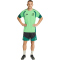 adidas FMF Mexiko Tiro Trainingstrikot 2026 Herren KB0918 - semi flash green M
