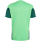 adidas FMF Mexiko Tiro Trainingstrikot 2026 Herren KB0918 - semi flash green M
