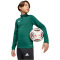 adidas Entrada 26 langarm Trainingsshirt Kinder KE9825 - team dark green/white 116