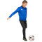 adidas Entrada 26 langarm Trainingsshirt Kinder JZ6631 - team royal blue/white 104