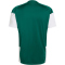 adidas FIGC Italien Tiro Trainingstrikot 2026 Herren JZ9374 - collegiate green XS