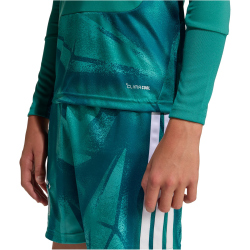 adidas DFB Deutschland langarm Heim Torwarttrikot 2026...