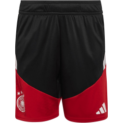 adidas DFB Deutschland Tiro Trainingsshorts 2026 Kinder...