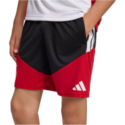 adidas DFB Deutschland Tiro Trainingsshorts 2026 Kinder...