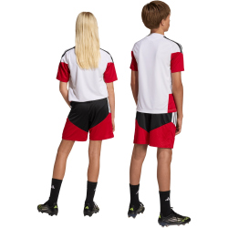adidas DFB Deutschland Tiro Trainingsshorts 2026 Kinder...