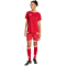 adidas Tiro 26 Competition Match Day Trikot Damen KA6190 - team power red 2/white S