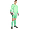 adidas Tiro 26 Competition langarm Torwarttrikot Herren KB5249 - lime burst XS
