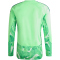 adidas Tiro 26 Competition langarm Torwarttrikot Herren KB5249 - lime burst S