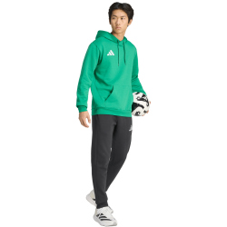 adidas Entrada 26 Hoodie Herren JZ6581 - team green/white S