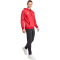 adidas Entrada 26 Hoodie Herren JZ6576 - team power red 2/white XS