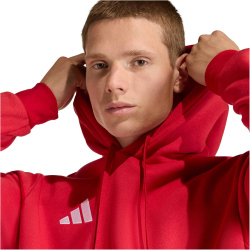 adidas Entrada 26 Hoodie Herren JZ6576 - team power red 2/white S