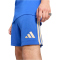 adidas FIGC Italien DNA Sweatshorts 2026 Herren JZ2065 - bold blue S
