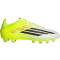 adidas F50 Pro MG Fußballschuhe JR8945 - team solar yellow 2/core black/lucid red 43 1/3