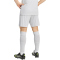 adidas Entrada 26 Trainingsshorts Herren JZ2515 - team light grey/white XS
