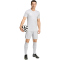 adidas Entrada 26 Trainingsshorts Herren JZ2515 - team light grey/white XS
