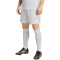 adidas Entrada 26 Trainingsshorts Herren JZ2515 - team light grey/white XS