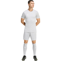 adidas Entrada 26 Trainingsshorts Herren JZ2515 - team light grey/white S