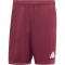adidas Entrada 26 Trainingsshorts Herren JZ2514 - team maroon 2/white XS