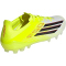 adidas F50 Elite 2G/3G AG Fußballschuhe JQ1468 - team solar yellow 2/core black/lucid red 39 1/3