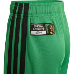 adidas JFF Jamaika Heimshorts 2026 Kinder KB3394 - vivid...