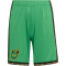 adidas JFF Jamaika Heimshorts 2026 Kinder KB3394 - vivid green 140