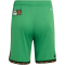 adidas JFF Jamaika Heimshorts 2026 Kinder KB3394 - vivid green 140