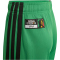 adidas JFF Jamaika Heimshorts 2026 Kinder KB3394 - vivid green 140